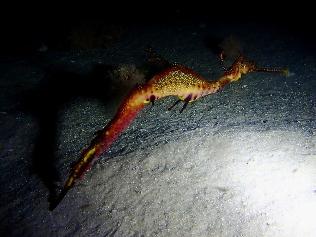 98c7f49c-2f38-4395-9b00-f4df09134cea