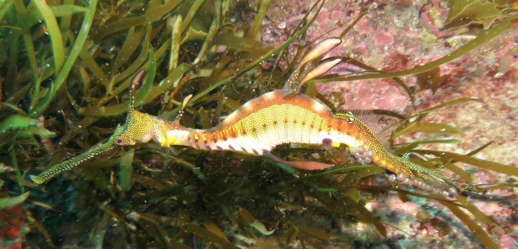 052bf3d7-912b-409b-b080-e4014afcd5d4