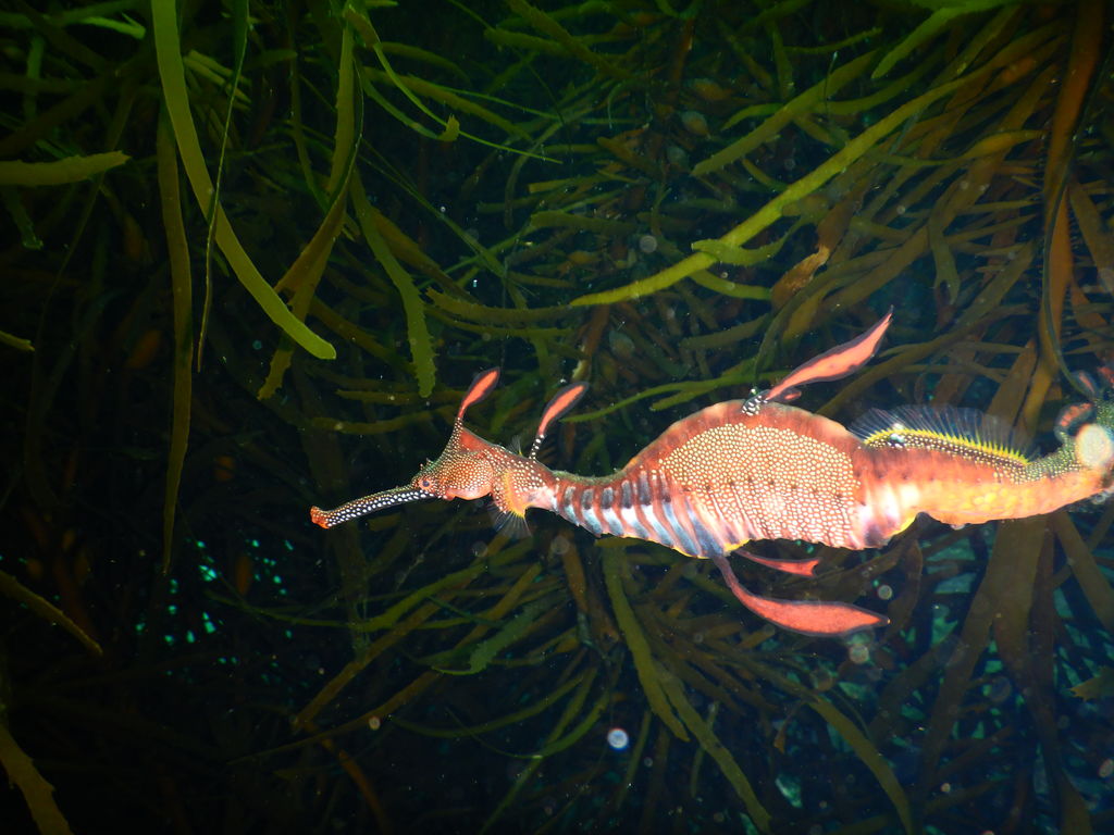 f51bf4fd-71c4-430e-9866-1407c1ab3a40