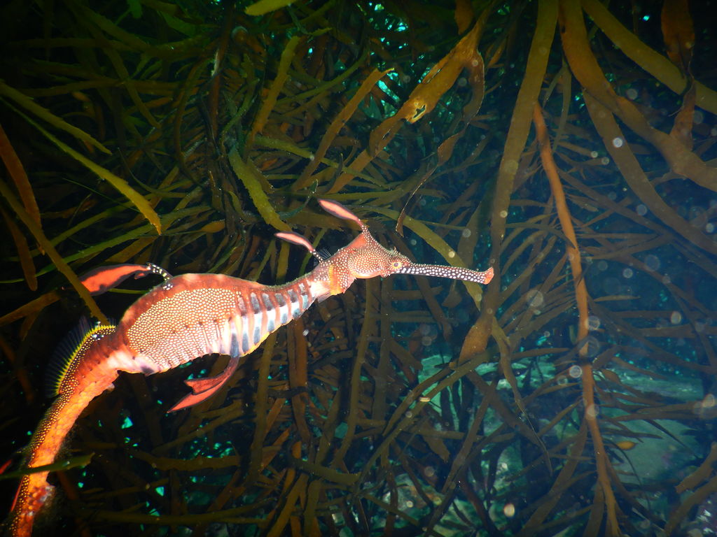 f51bf4fd-71c4-430e-9866-1407c1ab3a40