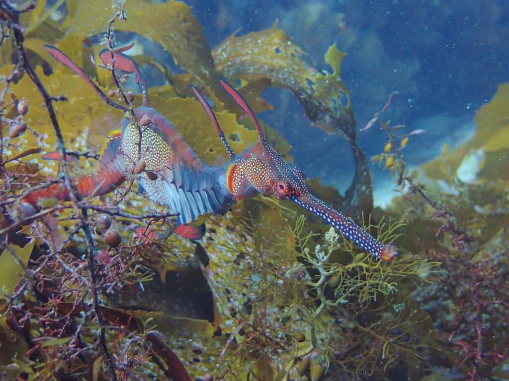 7457f1e8-c458-4125-b5f6-0eab5f8f7e28