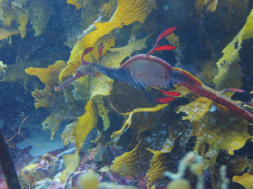 7457f1e8-c458-4125-b5f6-0eab5f8f7e28