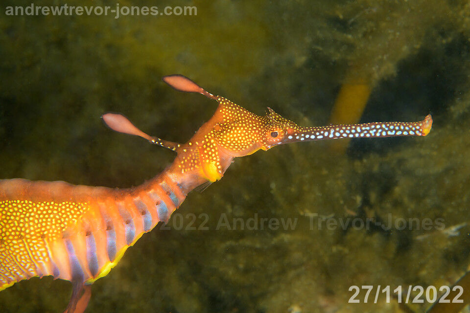 e227a13e-a557-46a9-b093-f816793dab4f