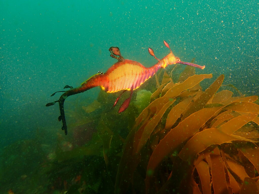 36a0bb36-cc11-447c-bf4e-9ba179ecb7c4