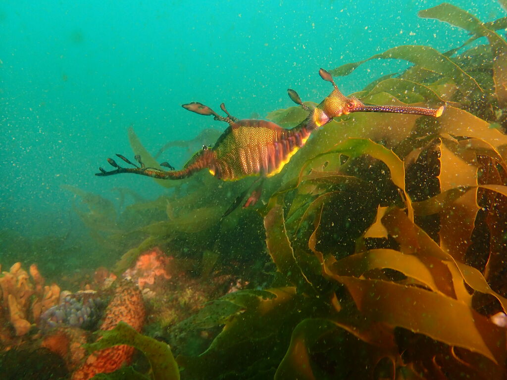 36a0bb36-cc11-447c-bf4e-9ba179ecb7c4