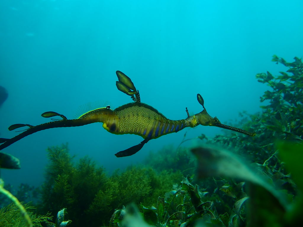 908ed035-d84f-4941-824e-bd9218658880