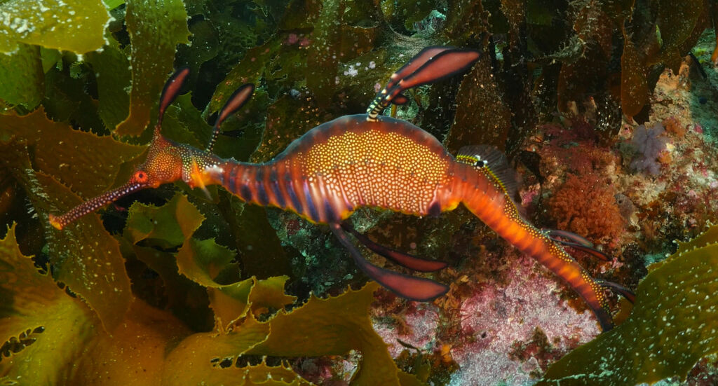 8d744540-7973-4efd-8650-85e27322d25c