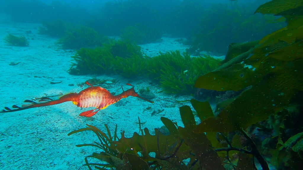 fdd5b70a-b8a0-4328-a29c-4866cf278ed1