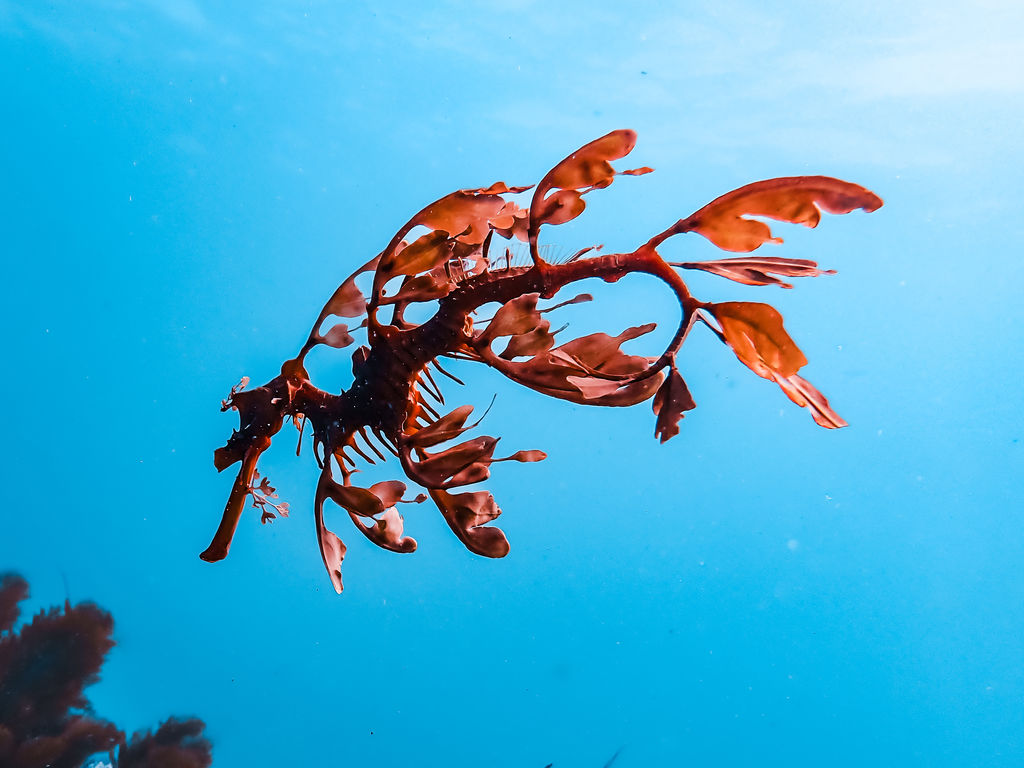 45dd198b-5305-4991-a8e9-e6e911a16f41