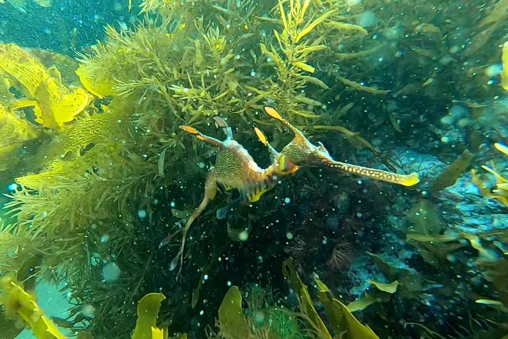 6014a666-c639-4bb7-8954-7b82b7cd8f88