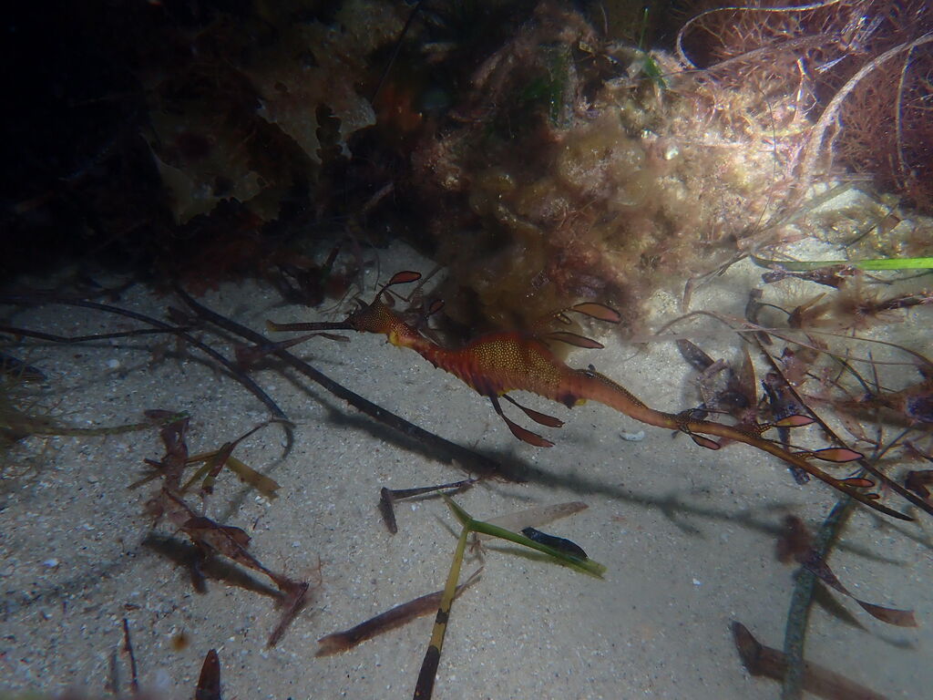 d5acfcb3-ebc3-4a66-b383-69c001f959ea