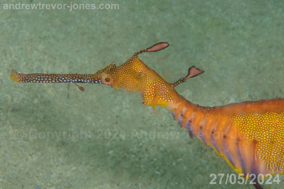 830430f1-2a6a-4ced-b902-cb1f249a918e