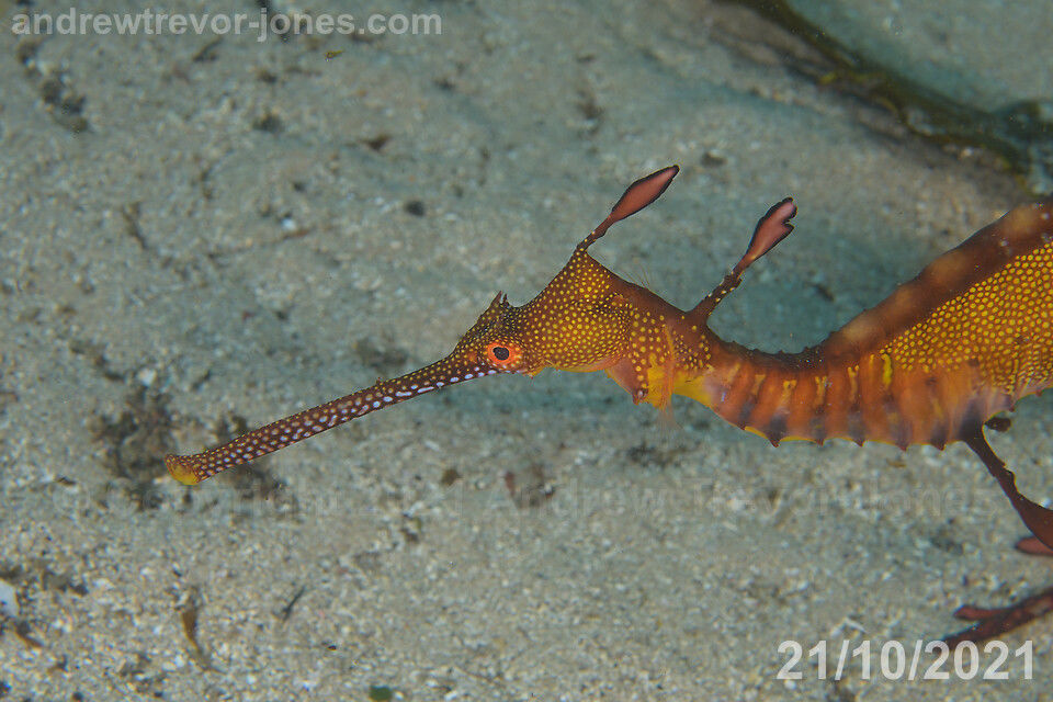 f496dcae-6d0f-417e-b22b-b2065b35c835