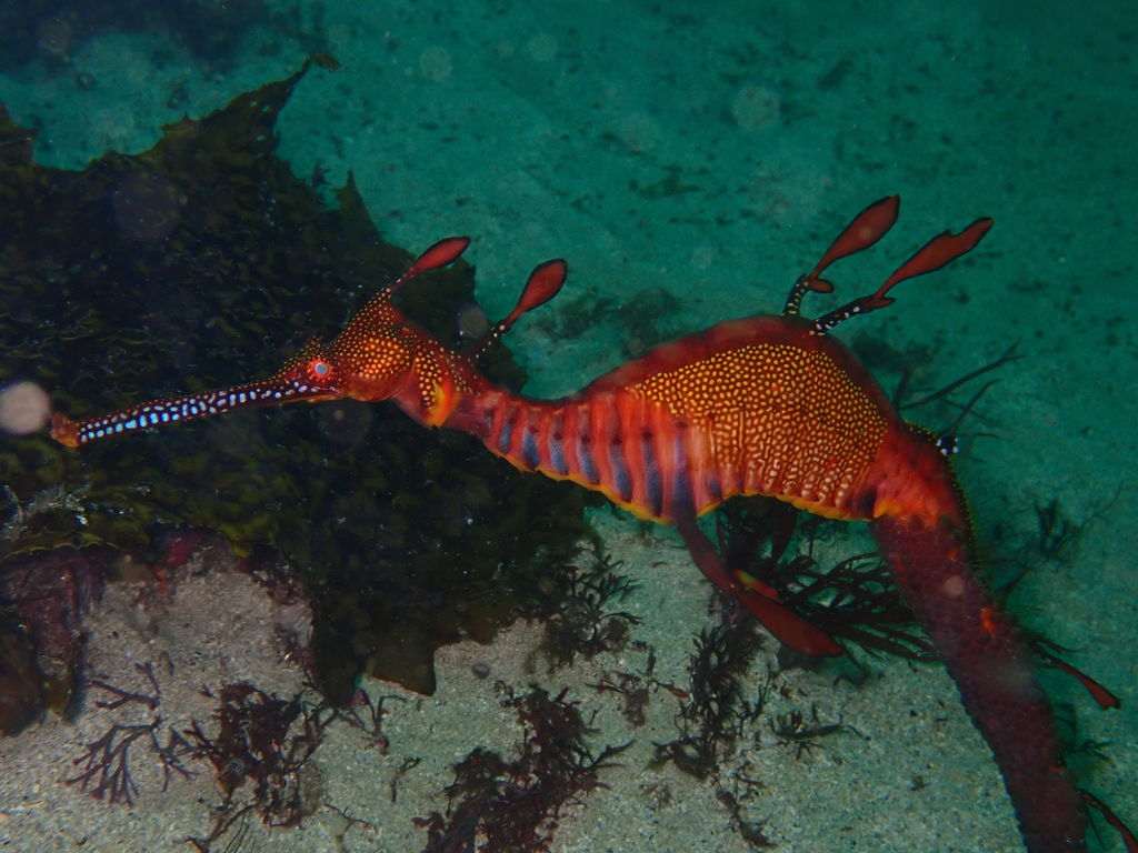 e227a13e-a557-46a9-b093-f816793dab4f