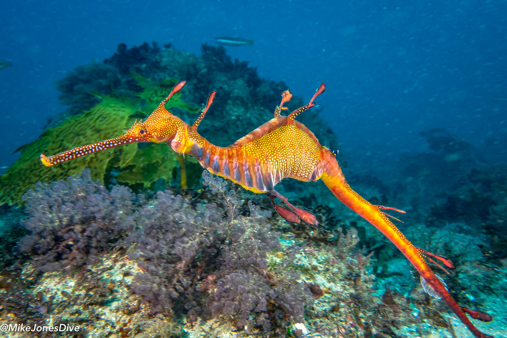 337cd49c-c07e-4a06-ba4c-144a26d2d5d3