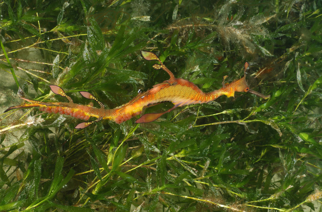 e8497e41-046b-49ed-b07c-a475c8f06299