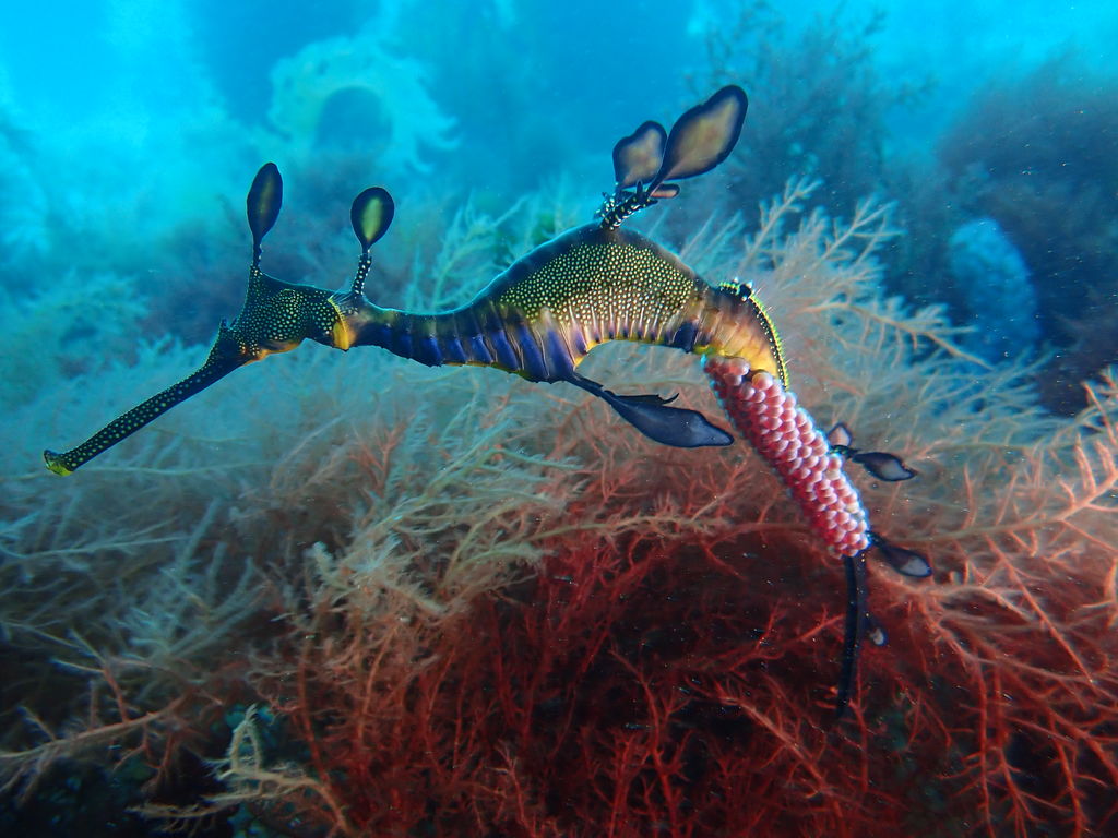 f287a883-b22e-45da-bd62-e66007422e29