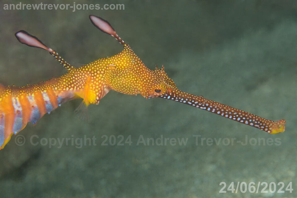 eeddec91-1a51-4207-8f13-bbe7af044e02