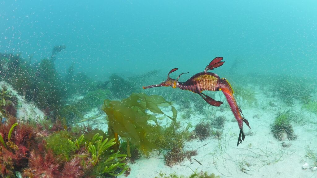 5ec4c215-9cc0-45b1-b918-81d101655a1c