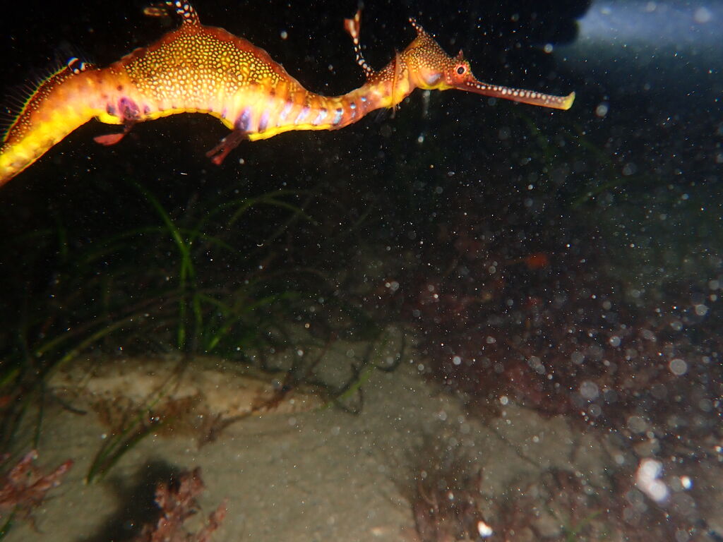 98c7f49c-2f38-4395-9b00-f4df09134cea