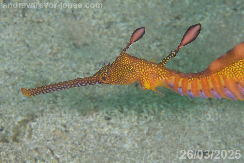 fe91530e-96c2-43e1-be18-b5fae1db7e6b