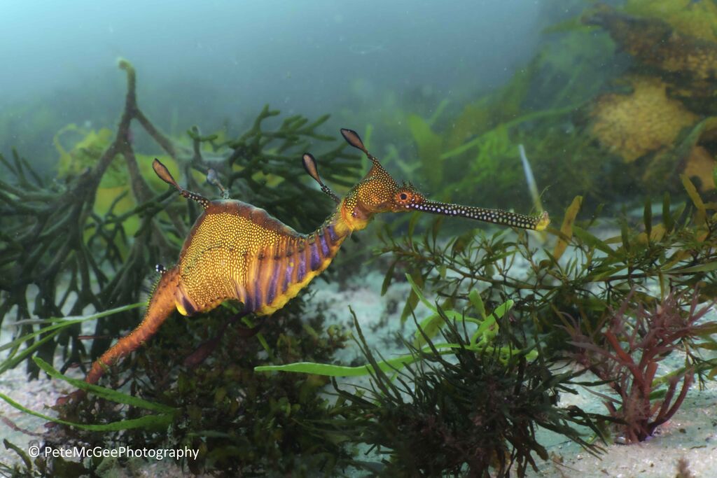 a477ee9d-a8c7-4140-8eaa-66207042ab33