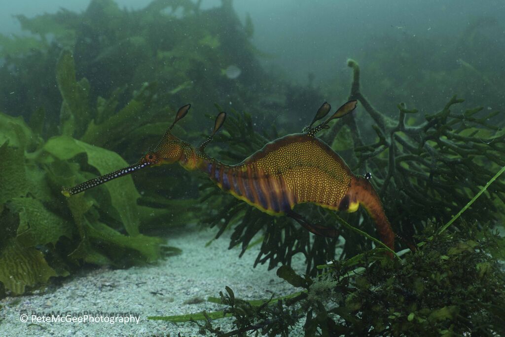 a477ee9d-a8c7-4140-8eaa-66207042ab33