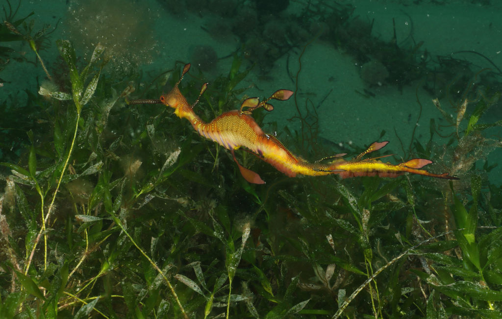 e8497e41-046b-49ed-b07c-a475c8f06299