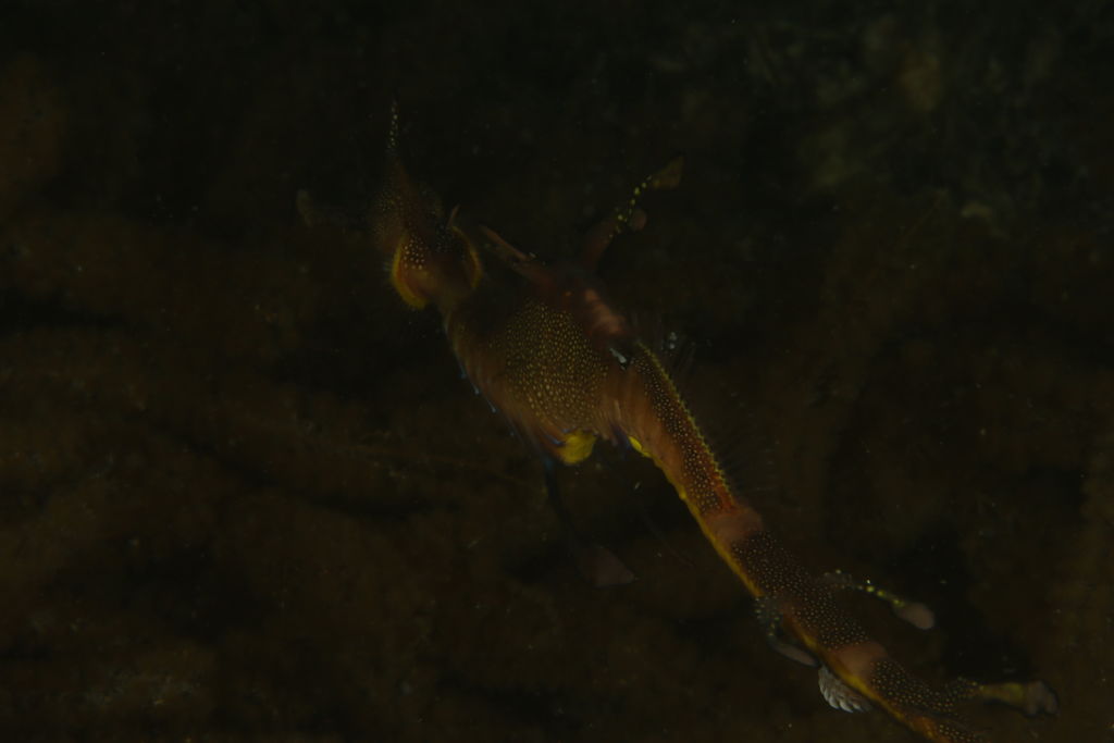 20a54726-128e-4a7f-ad91-6abed94d0a56