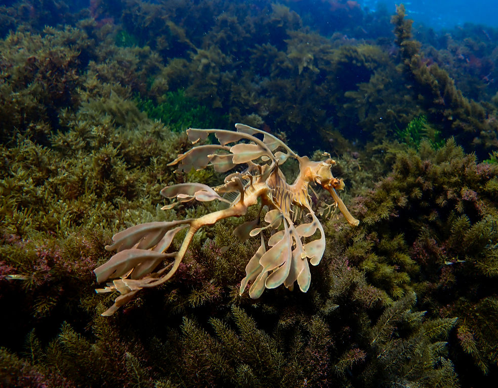 45dd198b-5305-4991-a8e9-e6e911a16f41