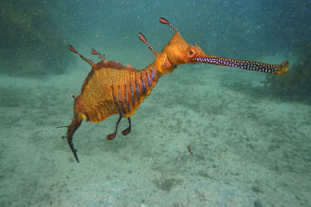 86f44478-77a9-475c-9b15-f868bed3b077