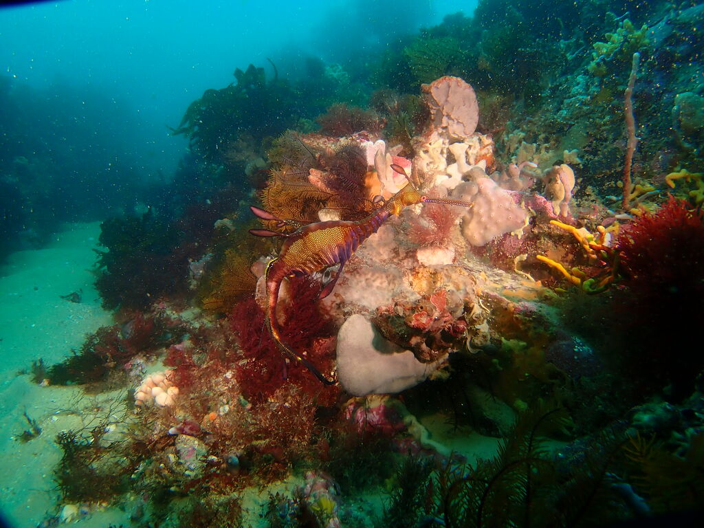 d2a22d51-3335-4a4a-b367-66fa987b0878