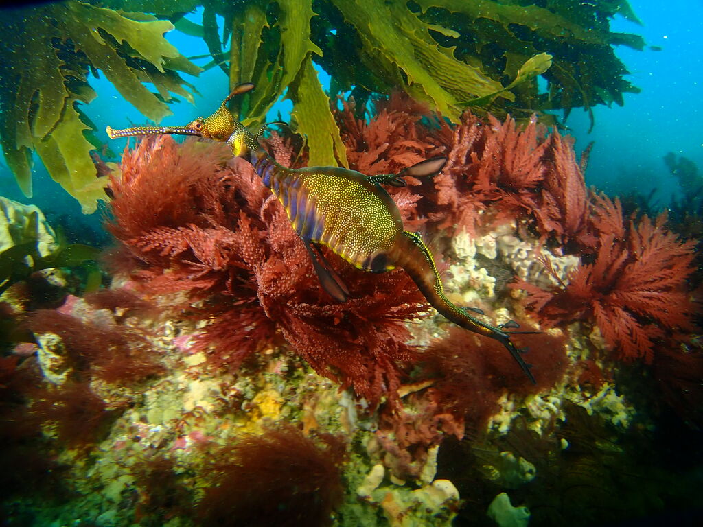 d2a22d51-3335-4a4a-b367-66fa987b0878