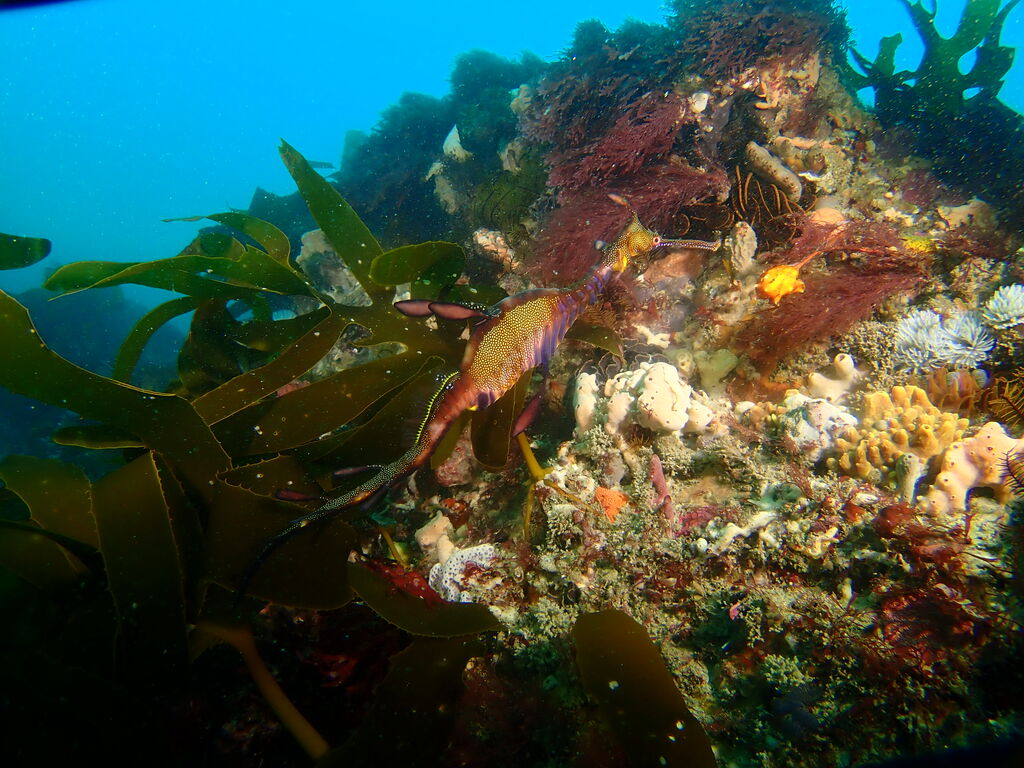 d2a22d51-3335-4a4a-b367-66fa987b0878