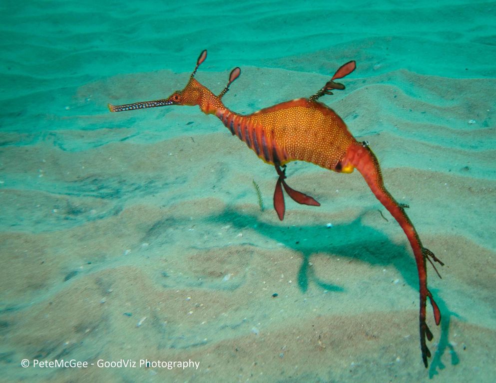 984d9dd7-869c-46ce-a81a-109184f48d83