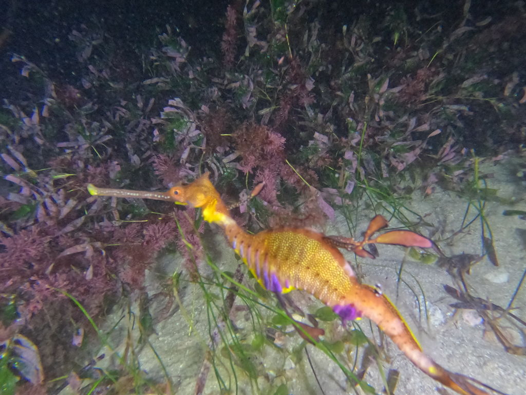 7760f0ca-dbd7-4a6a-8b76-6e46b29b5b3b