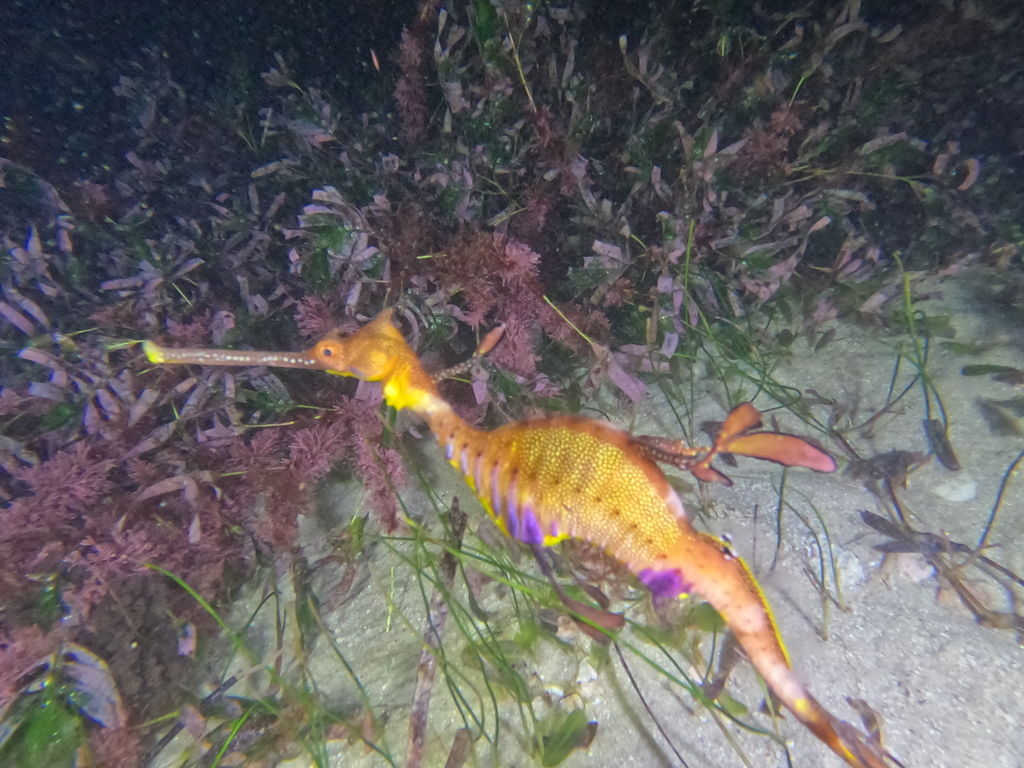 7760f0ca-dbd7-4a6a-8b76-6e46b29b5b3b