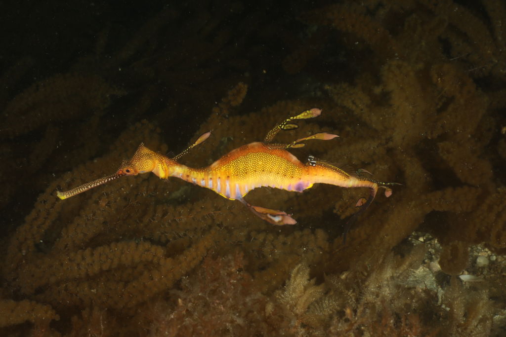 998fc7c8-fc68-4d99-ab4a-ea300e537c4a