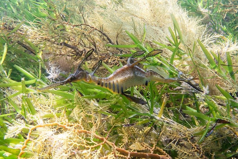 a0cc03f3-d915-44dd-83b9-dfb3e5eaed15