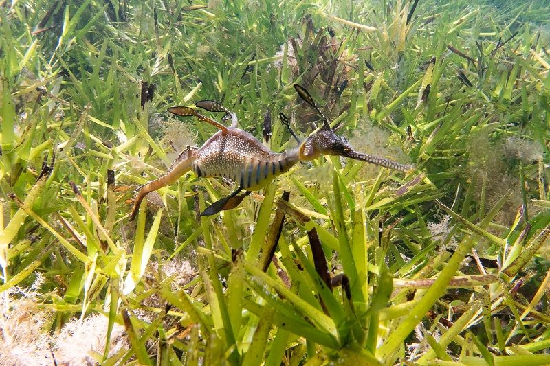 a0cc03f3-d915-44dd-83b9-dfb3e5eaed15