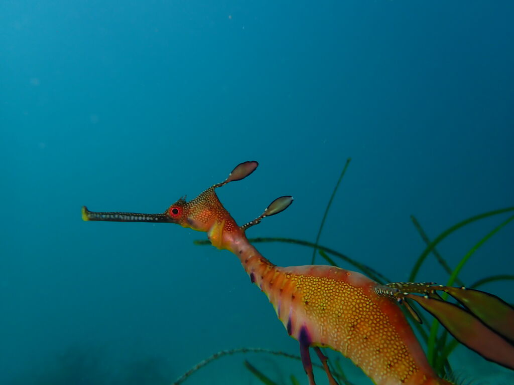 c9dc75c8-1b9d-4a15-8022-b19dba5b9984