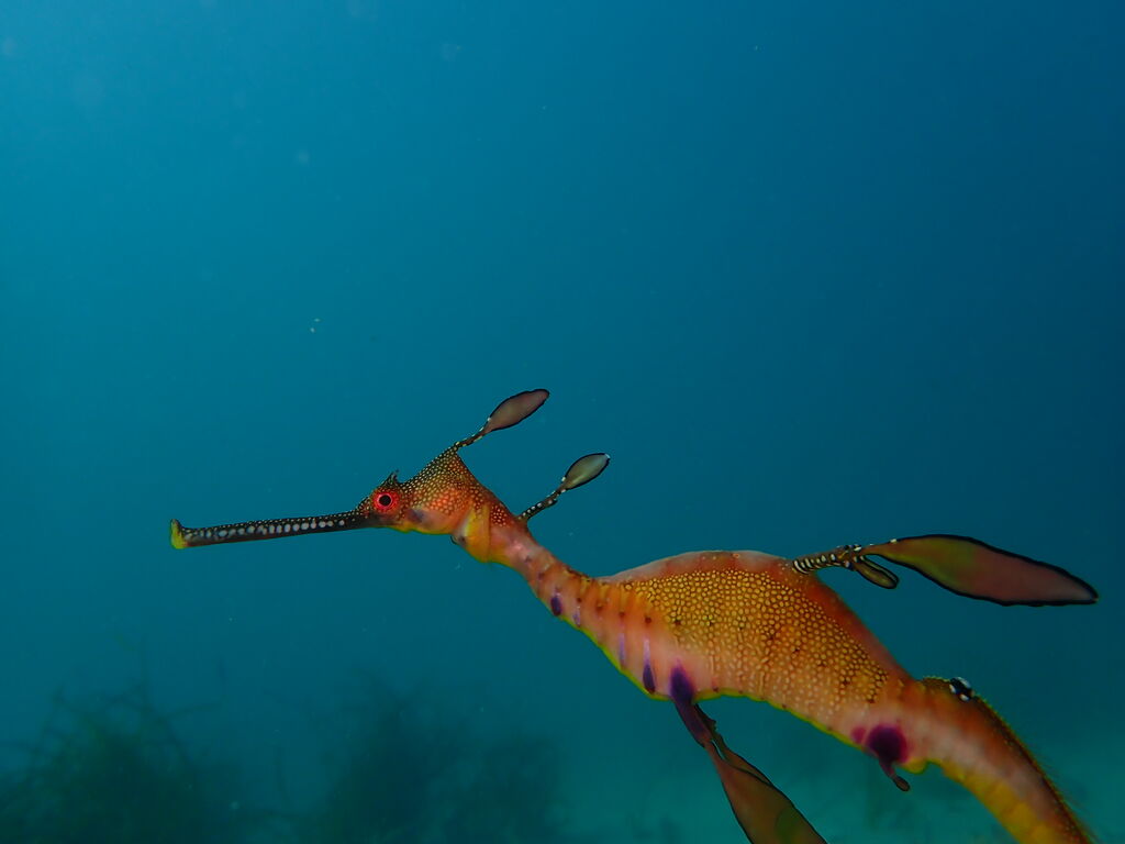 c9dc75c8-1b9d-4a15-8022-b19dba5b9984