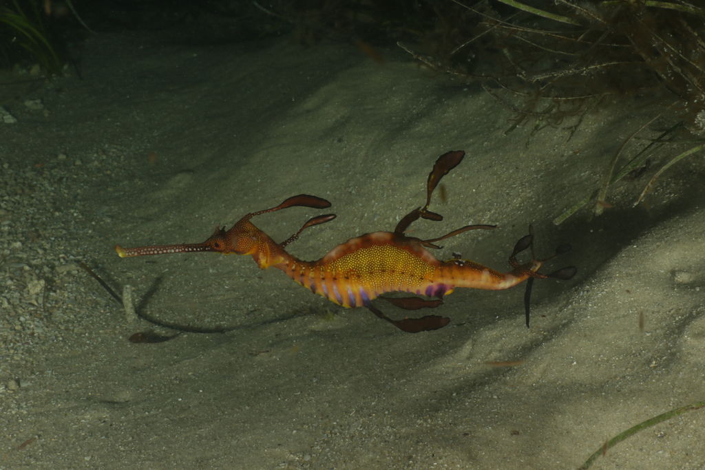 5c559dcd-f0a2-4c04-ab9c-e8279bb7c587