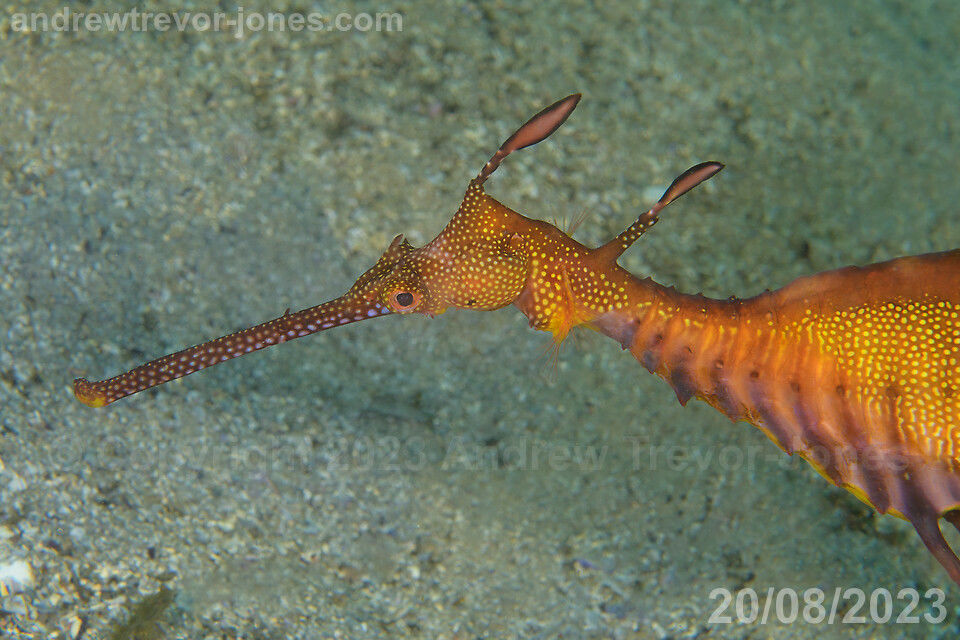 d79fd72c-6e12-4a20-942d-bacbb0c97cee