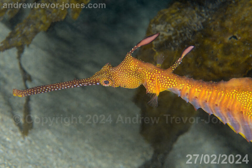 d79fd72c-6e12-4a20-942d-bacbb0c97cee