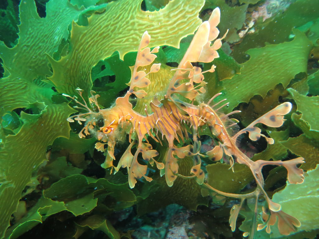 4ce4fdf4-d05b-446c-b2b4-748d9cf7d628