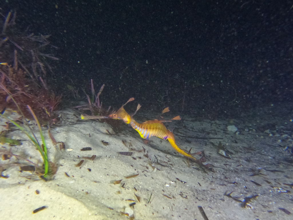 9c9c695d-849b-4da8-bb95-fc4947f02f45