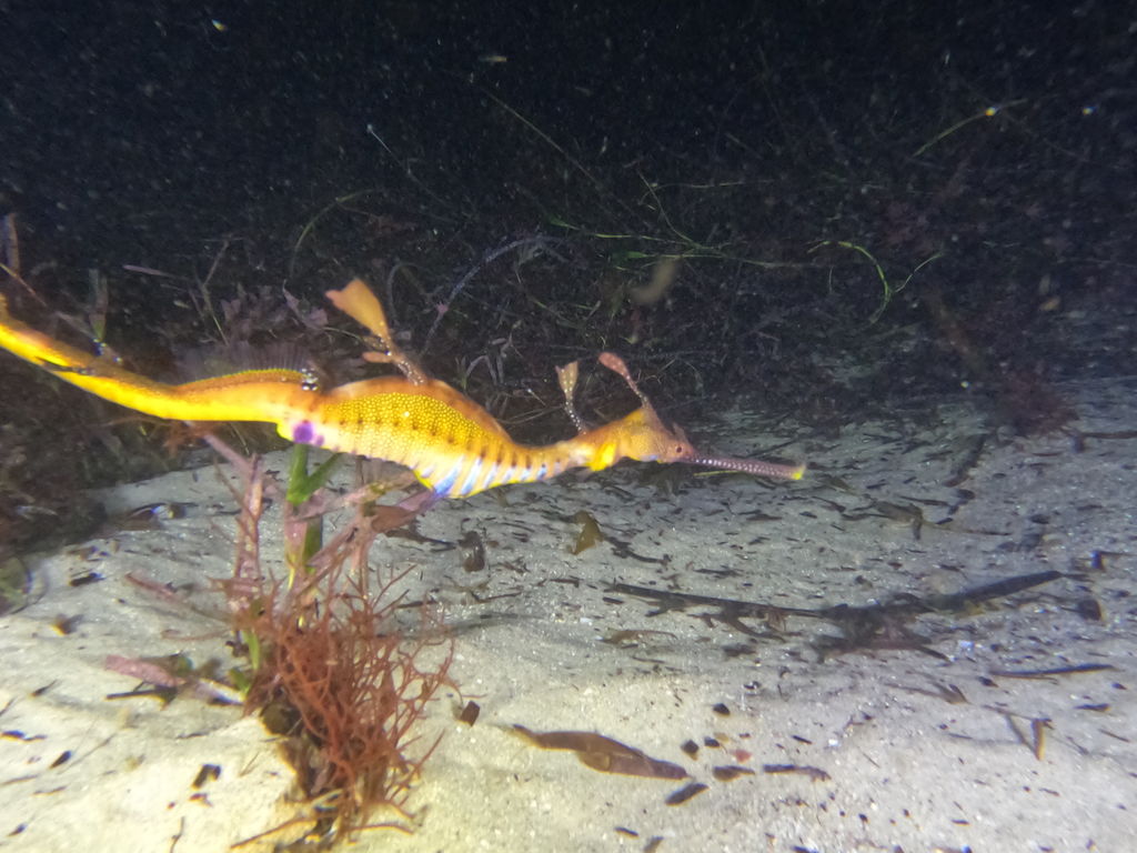 9c9c695d-849b-4da8-bb95-fc4947f02f45