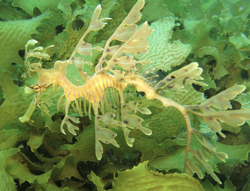 7a0f1a03-370c-4256-b021-7e7812991aec