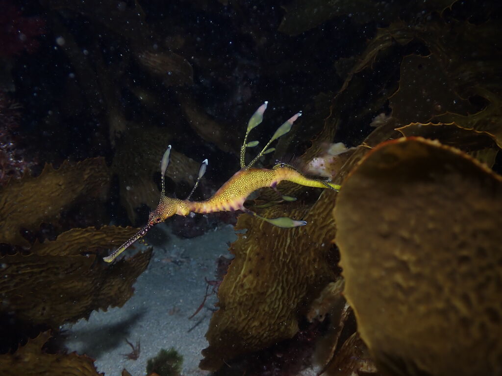 379282e7-d253-4b1d-93d6-58a5d7cb6d00